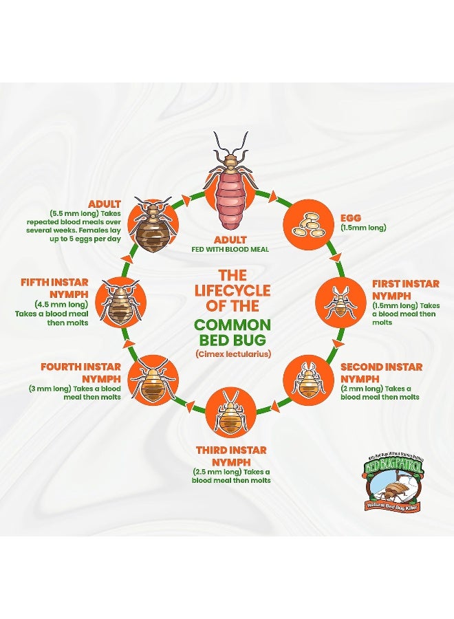 Bed Bug Patrol Natural, Non-Toxic, Family and Pet Safe Bed Bug Killer- 24oz - Image 5